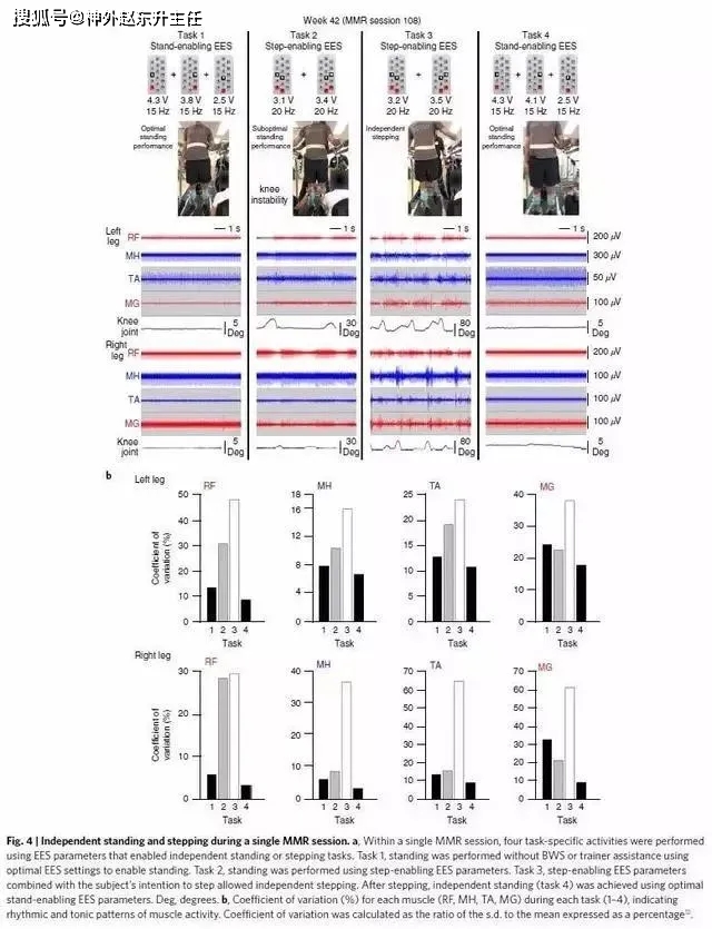 香港脊髓研究获重大突破，神经科学领域迎新高度