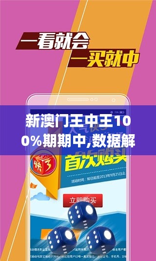 澳门王中王100%期期中,实地解答解释定义_特供版171.315